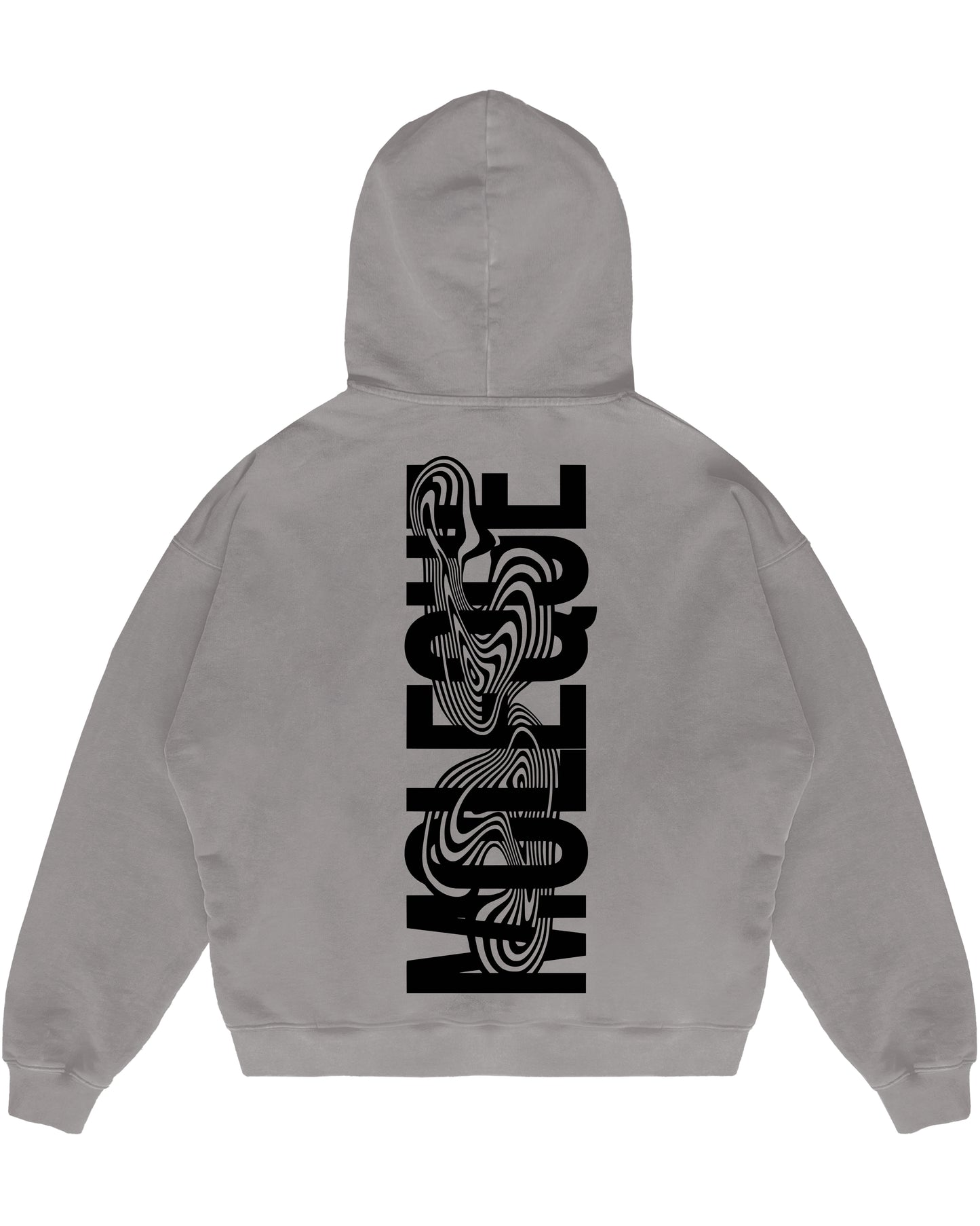 Hoodie | Moleque01